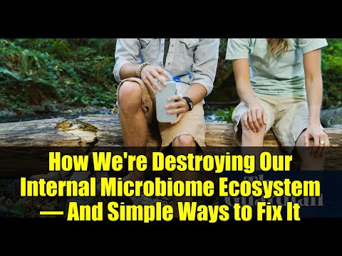 How We're Destroying Our Internal Microbiome Ecosystem – And Simple Ways to Fix It