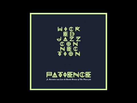Wicked Jazz Connection ft. Berenice van Leer & Bootie Brown of The Pharcyde  - Patience