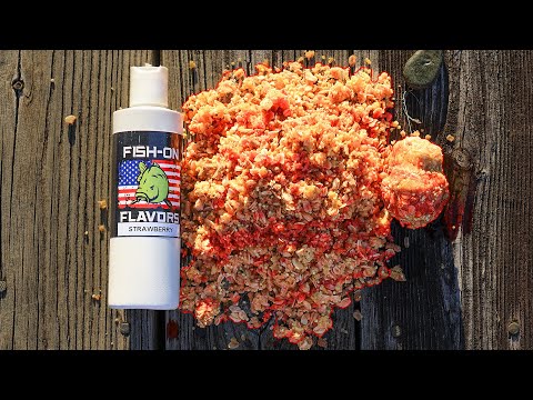 This Bait Drives Fish Nuts Carp & Catfish Homemade Bait Recipe
