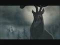Bambi Lost
