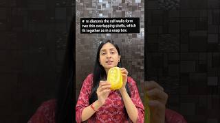 Chrysophytes | Kingdom Protista #neet #class11 #shorts #ytshorts #study #biology