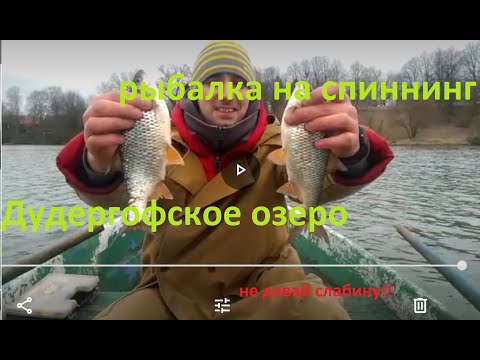 Дудергофское озеро рыбалка 2020! Плотва на спиннинг!