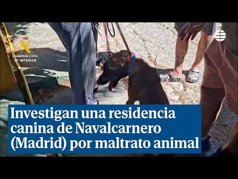 Investiguen els propietaris d'una residència canina de Navalcarnero per maltractament animal