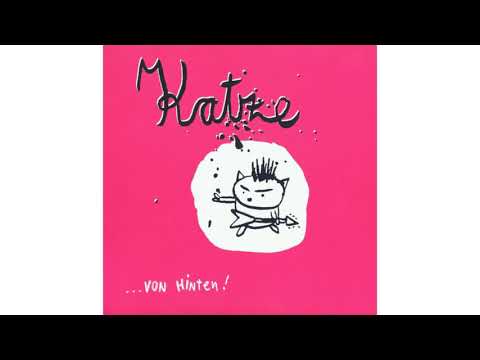 Katze - Wir machen Lärm!