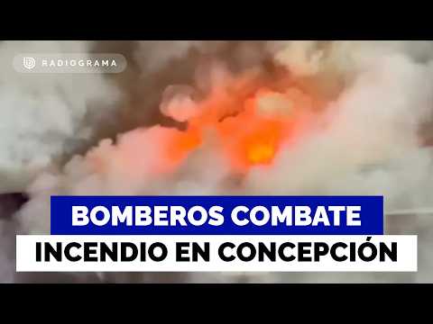 Bomberos trabaja en gran incendio que destruye una galería en el centro de Concepción