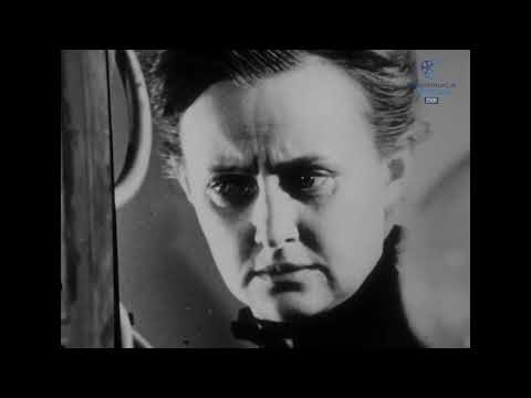 Relacje reporterskie - 1981-1985