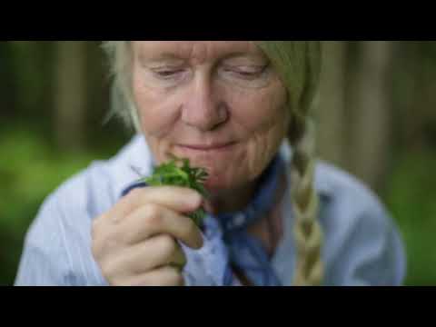 Adirondack Inspired From Farm-To-Factory - We Are The Adirondack Fragrance Farm