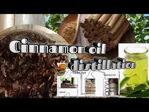 Cinnamon oil distillation