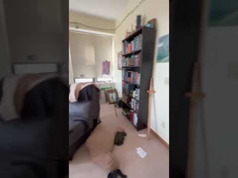 360 Ridgeland Avenue - Video 2 of 2