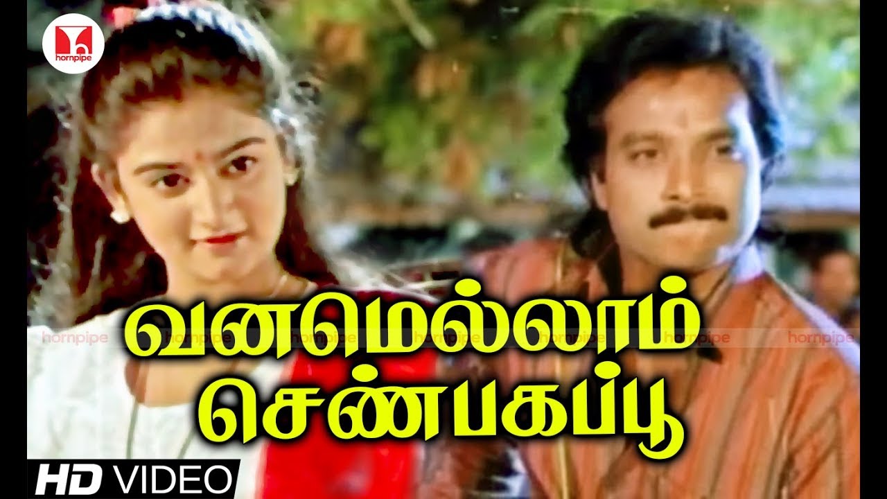 Vanamellam Shenbagapoo Male Song Lyrics | Nadodi Pattukkaran | S. P. Balasubrahmanyam