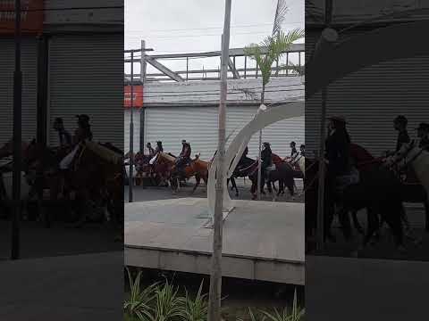 23 cavalgada de itatim bahia