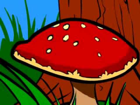 Badger Song - Infected Bounce & Intense Recordzz Remixaaaa