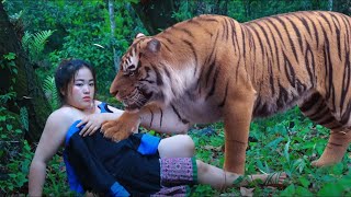 the girl needs her tiger help xia xav tau tus tsov