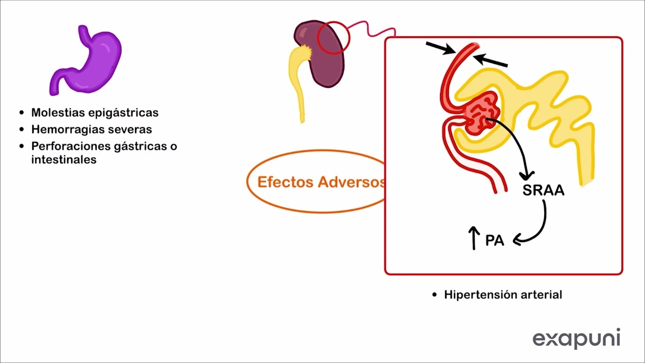 Clasificación de AINES, Acciones Farmacológicas, Indicaciones y Efectos Adversos - AINES Parte 2