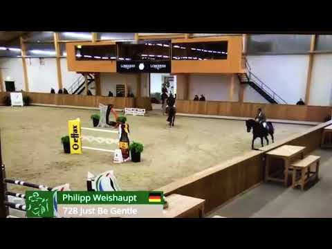 Just be gentle with Phillip Weishaupt 1.40 at Riesenbeck