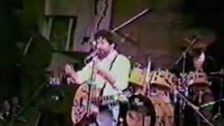 Raul Seixas - Rock Das Aranhas