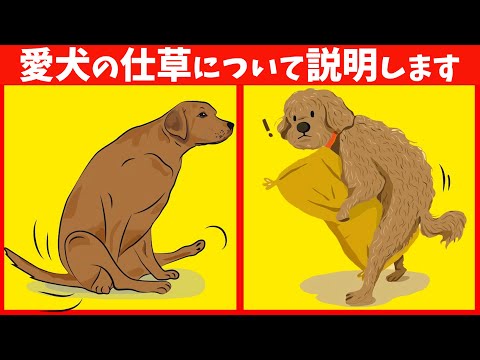 犬の奇妙な行動