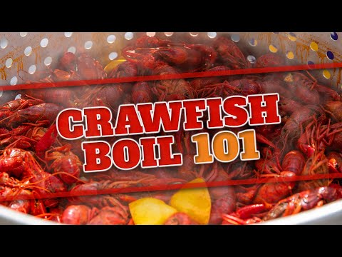 Crawfish Boil 101