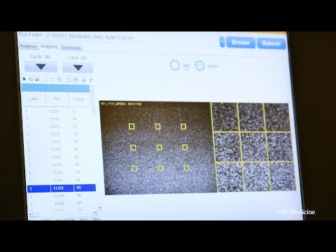 Technique shows how individual cancer cells react to drugs