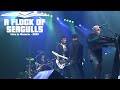 A Flock Of Seagulls Live in Ontario with The Spoons 2019 - FULL CONCERT - Space Age Love Concert