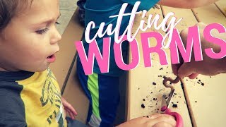 Cutting Worms at Remington Nature Center