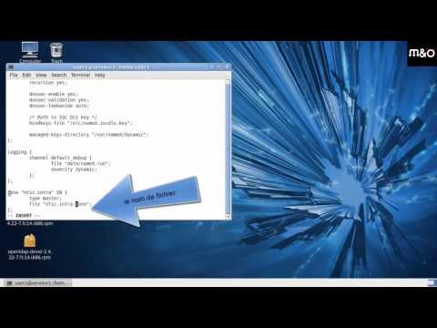 comment installer dns sous fedora