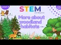 Woodland Habitats | Science For Kids | STEM Home Learning