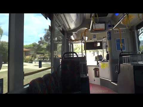MAN 18.320 A69 - ACTION Buses Route 983 (Part Two)