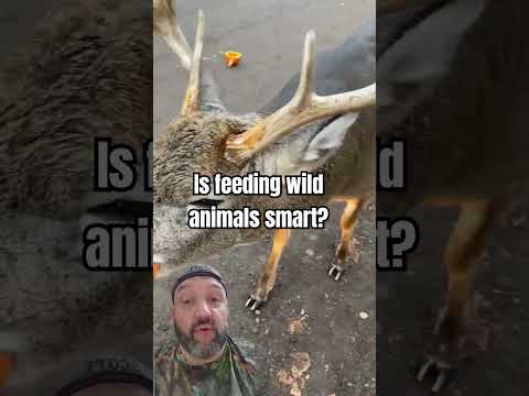 Don't feed the animals by hand.