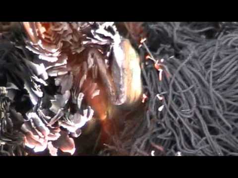 Hetkisitten tuli kaatamalla vettä