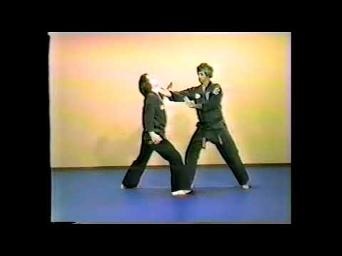 American Kenpo Fatal Deviation