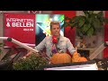 We gaan sporten voor de tv!