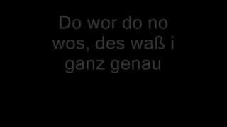 Georg Danzer - Des kaun do no ned ollas gwesn sein (Lyrics)