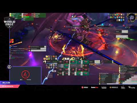 Big Dumb Guild vs Mythic Il'gynoth US 2nd - Holy Pally POV