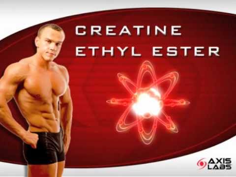 How Creatine Ethyl Ester Works | Axis Labs