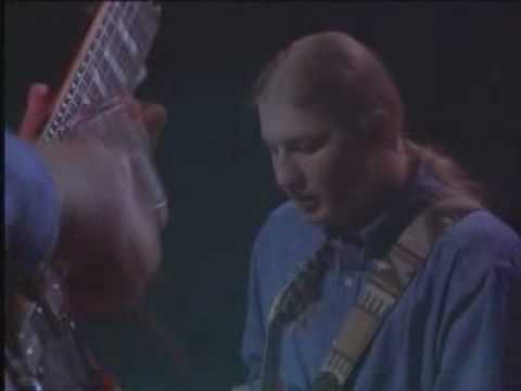 "Desdemona" - Derek Trucks Guitar Solo