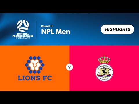 NPL Men Round 16 - Lions FC vs. St George Willawong Highlights