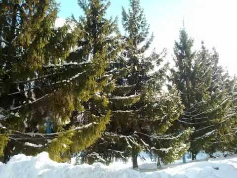 Як тебе не любити Києве мій!!! Гарні ялинки...песня BREAK IT - DJ Smash feat Ch. Armstrong