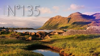 relaxdaily - Årrvågan [N°135]