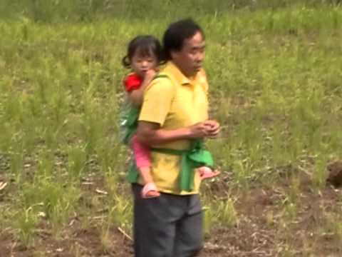 07 xyoo no tsis muaj koj dvd