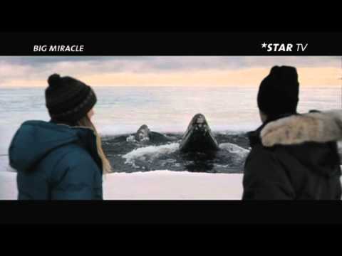 Big Miracle - Der Ruf der Wale - Drew Barrymore - Ahmaogak Sweeney - Neu im Kino