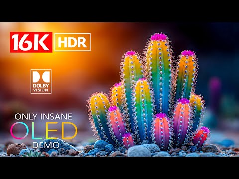 INSANE OLED TEST DEMO - Dolby Vision HDR 16K 120 fps (8K Video ULTRA HD)