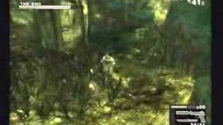 Acquiring The End's Camo And Rifle