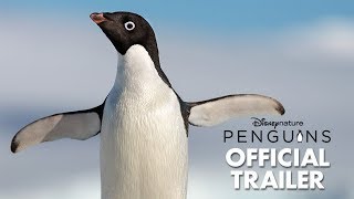 Penguins Film Trailer