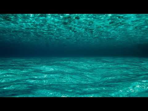 Paege: Don't Mess With The Dolphin (Juan Sapia Remix)