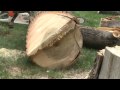 The Lightning Tree Cross Section