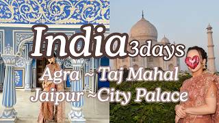 【インド旅/India Vlog】タージマハル・夜行列車・ピンクシティを巡る3日間｜Taj Mahal, Night Train & Jaipur Highlights