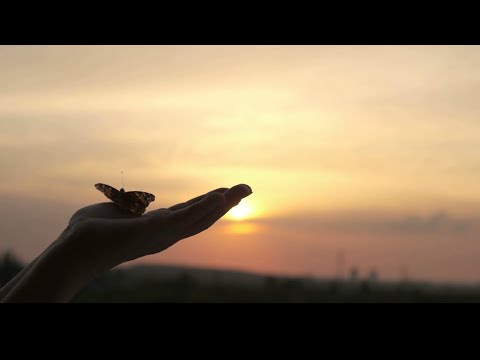Vasio Dunn - Gravity Of Love (Official Video) Album: Gravity Of Love