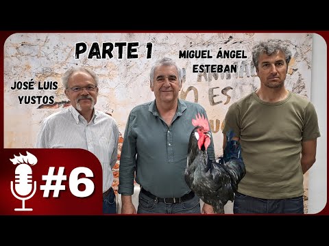 , title : '🎙️ ¿Qué PERMISOS necesitamos para TENER GALLINAS? ¿Y para PEQUEÑAS EXPLOTACIONES? | Podcast #6'