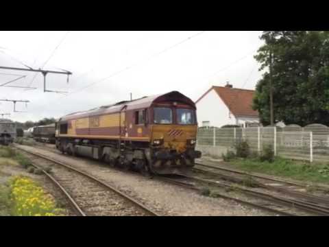 Euro Cargo Rail 66231 Runs Around in Caffiers Station - 15/
